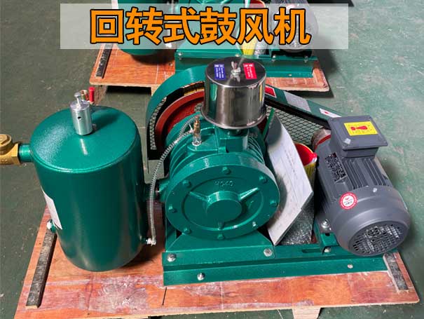回轉式風機與羅茨風機在性能上有哪些差異？